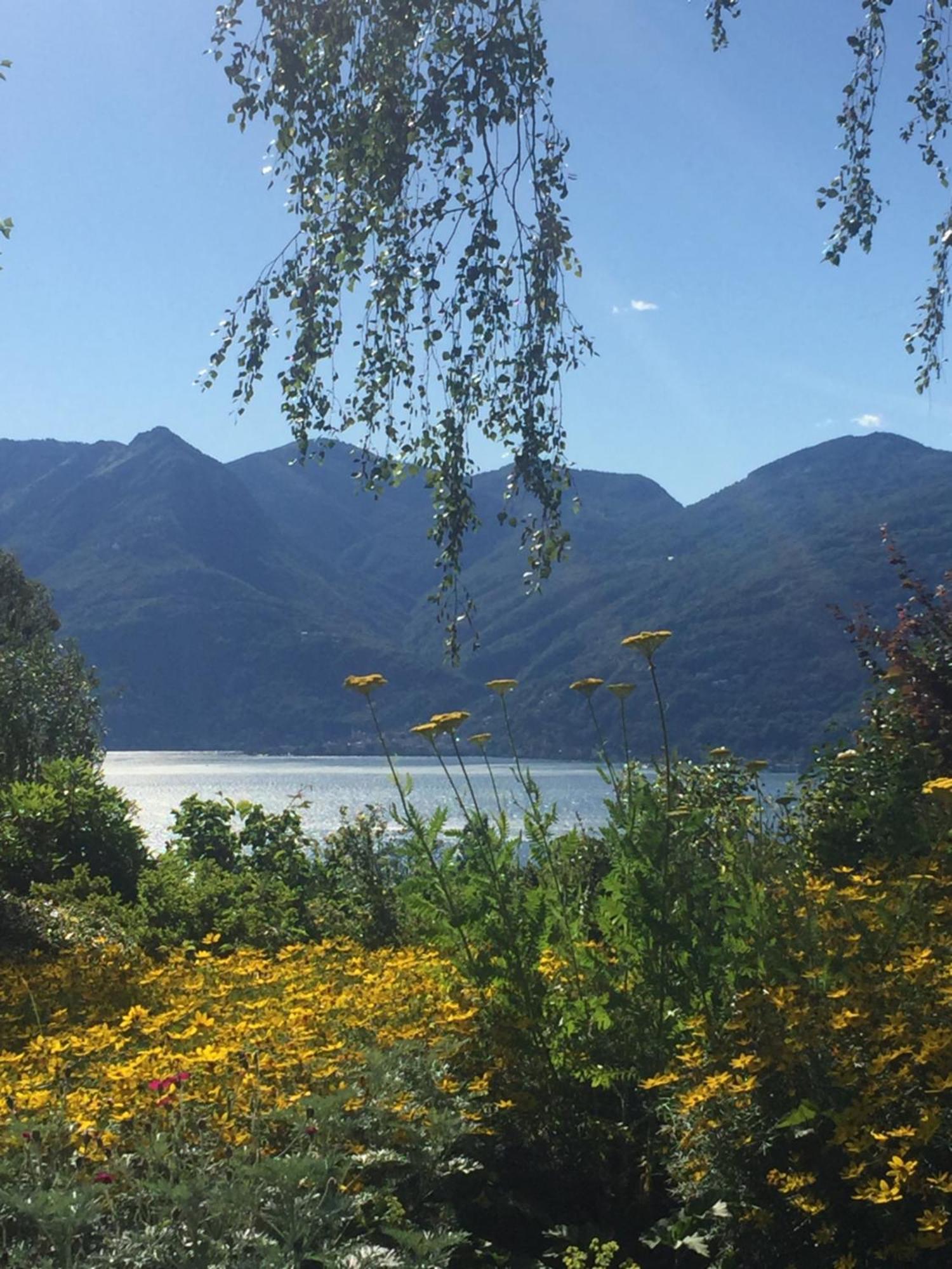 Casetta In Giardino Con Piscina Luino Exterior photo